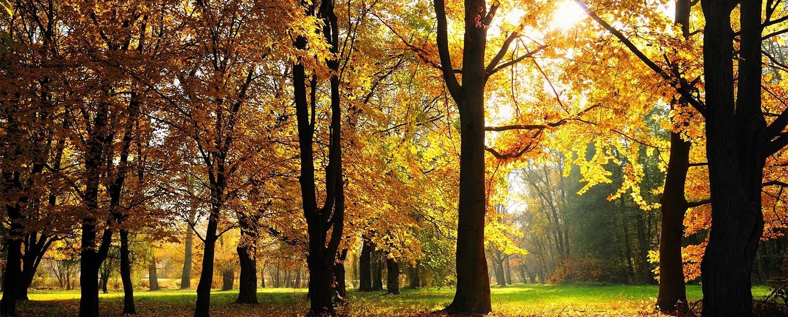 기프티안 메인 비주얼 3