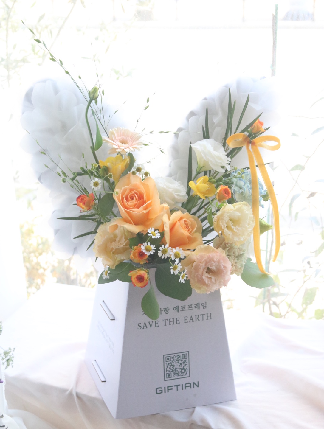 에코주니어 나비(고급형) 1