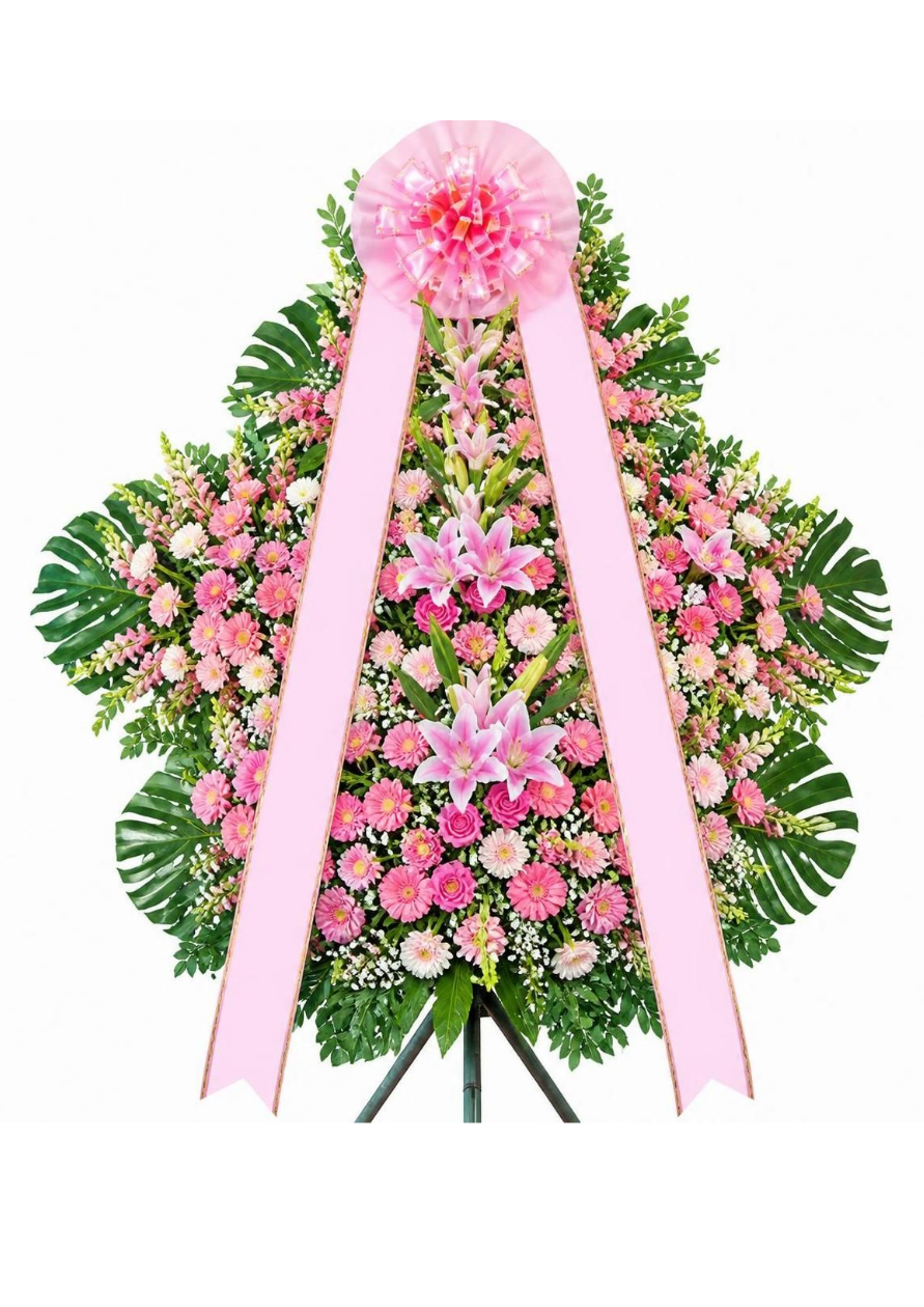 축하5단