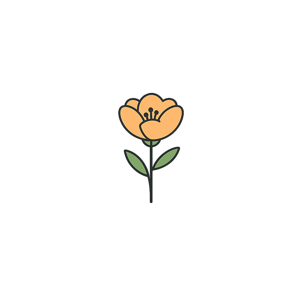당일 배송